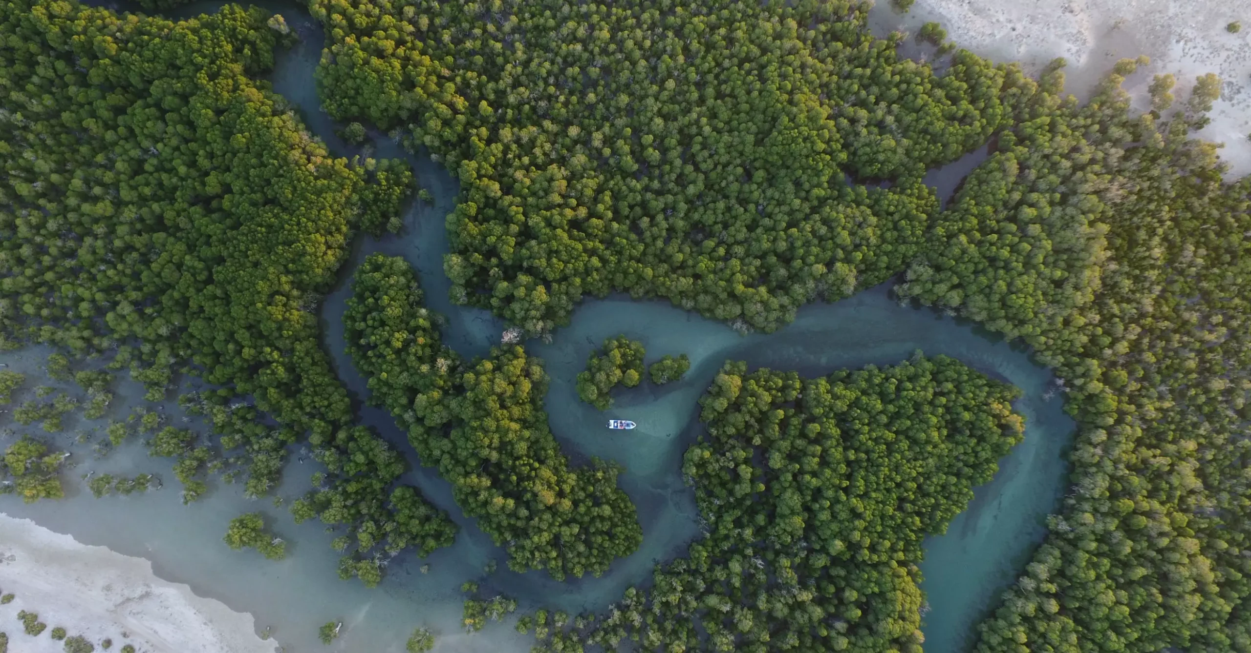 Anokao, Madagascar (Photo: Martina Lippuner)